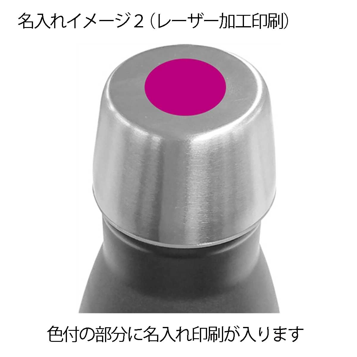 スタイリッシュエコボトル330ml