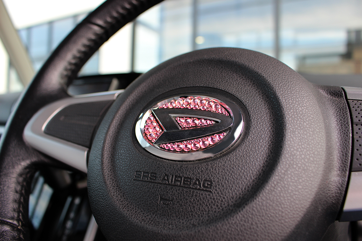 steering-2.jpg